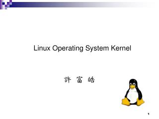 Linux Operating System Kernel 許 富 皓