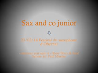 Sax and co junior