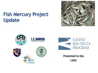 Fish Mercury Project Update