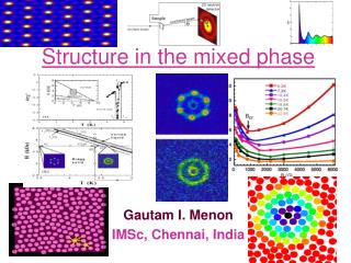 Structure in the mixed phase
