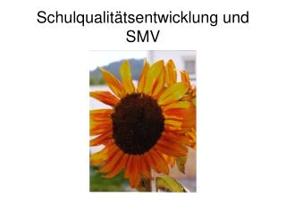 Schulqualitätsentwicklung und SMV