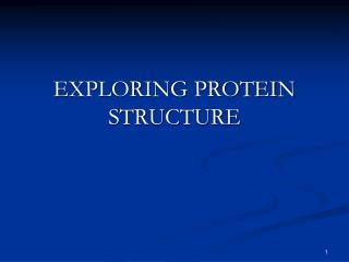 EXPLORING PROTEIN STRUCTURE