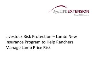 Livestock Risk Protection – Lamb: New Insurance Program to Help Ranchers Manage Lamb Price Risk