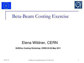 Beta-Beam Costing Exercise