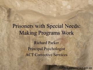 Prisoners with Special Needs: Making Programs Work