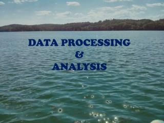 DATA PROCESSING &amp; ANALYSIS