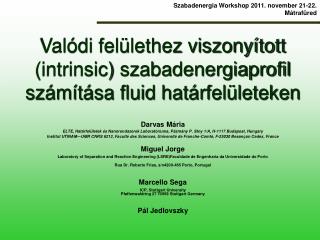 Valódi felülethez viszonyított (intrinsic) szabadenergiaprofil számítása fluid határfelületeken