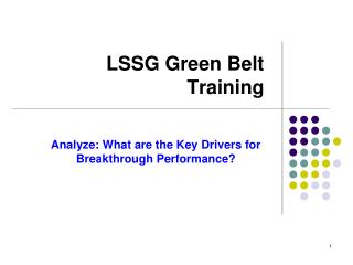 LSSG Green Belt Training