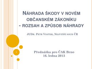 Přednáška pro ČAK Brno 16. ledna 2013