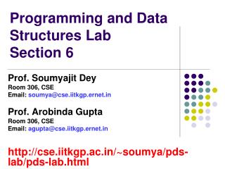 Programming and Data Structures Lab Section 6