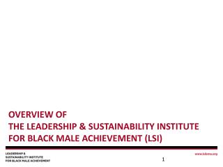 Overview of The Leadership &amp; Sustainability Institute for Black Male Achievement (LSI)