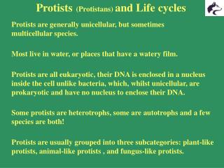 Protists (Protistans) and Life cycles