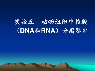 实验五 动物组织中核酸（ DNA 和 RNA ）分离鉴定