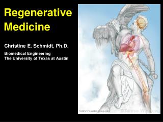 Regenerative Medicine