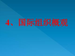 4 、国际组织概观