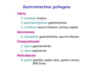 Vibrio V. cholerae : cholera V. parahaemolyticus : gastroenteritis