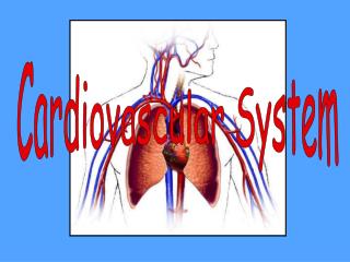 Cardiovascular System