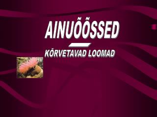 AINUÕÕSSED