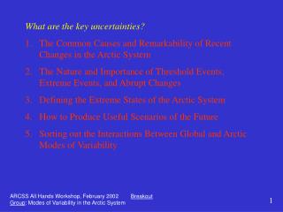 What are the key uncertainties?