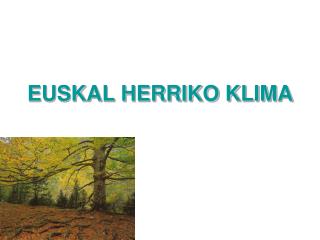 EUSKAL HERRIKO KLIMA