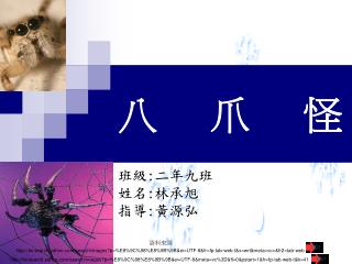 八爪怪
