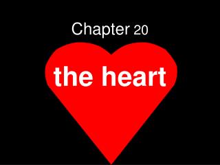 Chapter 20