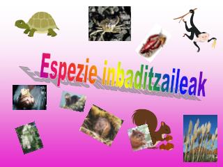 Espezie inbaditzaileak