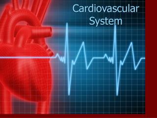 The Cardiovascular System