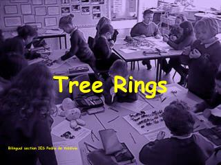 Tree Rings