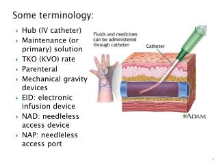 Some terminology: