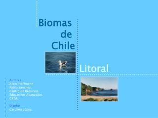 Biomas de Chile