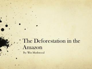 The Deforestation in the Amazon