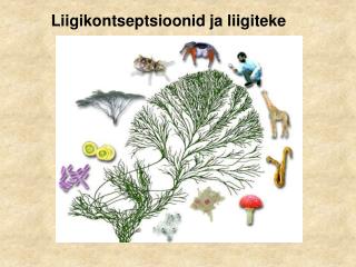 Liigikontseptsioonid ja liigiteke