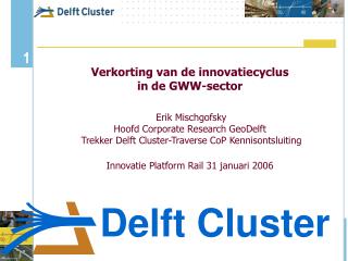 Delft Cluster