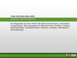 ANIMAIS INVERTEBRADOS