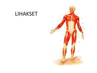 LIHAKSET