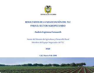 RESULTADOS DE LA NEGOCIACIÓN DEL TLC PARA EL SECTOR AGROPECUARIO Andrés Espinosa Fenwarth