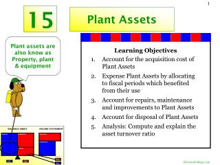 Plant Assets