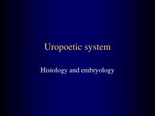 Uropoetic system