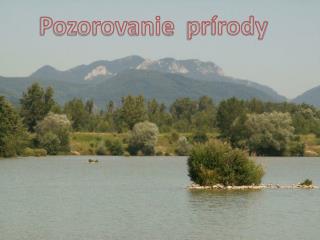 Pozorovanie prírody