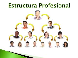 Estructura Profesional