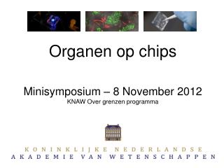 Organen op chips Minisymposium – 8 November 2012 KNAW Over grenzen programma