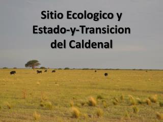 Sitio Ecologico y Estado-y- Transicion del Caldenal