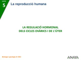 LA REGULACIÓ HORMONAL DELS CICLES OVÀRICS I DE L'ÚTER