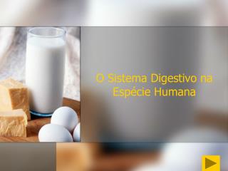 O Sistema Digestivo na Espécie Humana