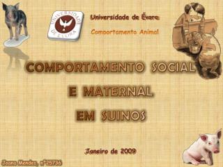 Universidade de Évora Comportamento Animal