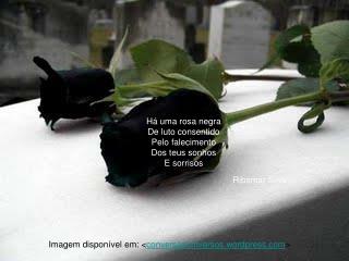 Há uma rosa negra De luto consentido Pelo falecimento Do teu sorriso