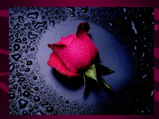 Robert Burns (1759,'--- 1796) 1. Life and Career