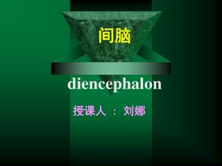 间脑 diencephalon