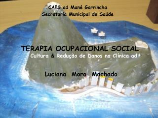 TERAPIA OCUPACIONAL SOCIAL